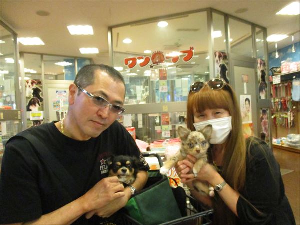 写真