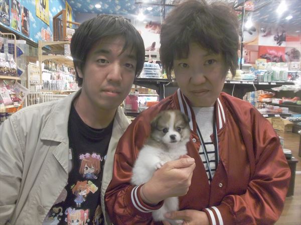 写真