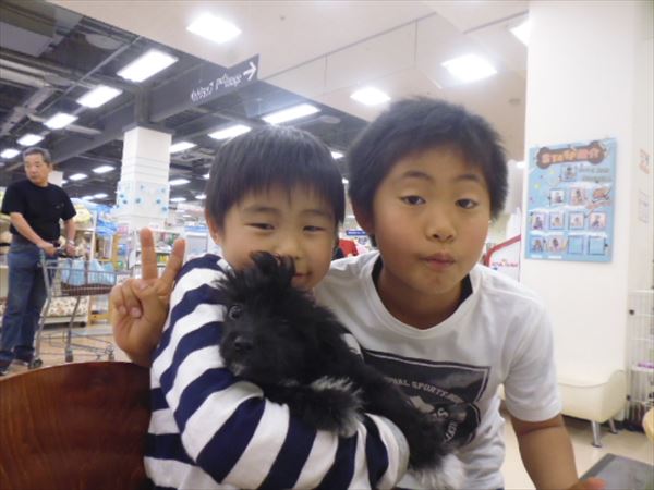 写真