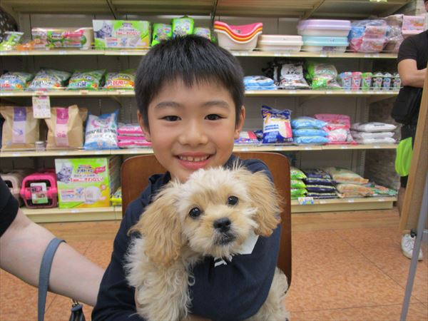写真