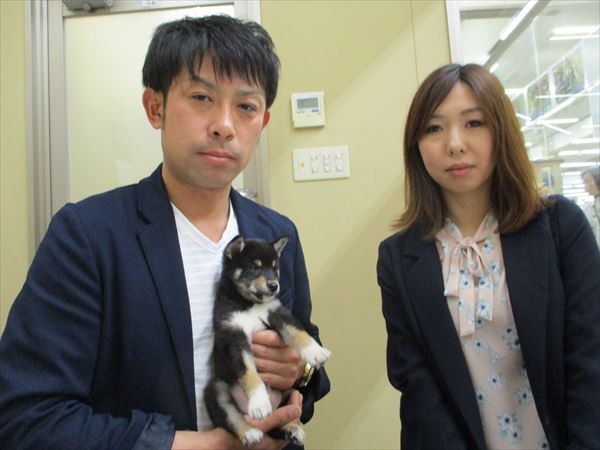 写真
