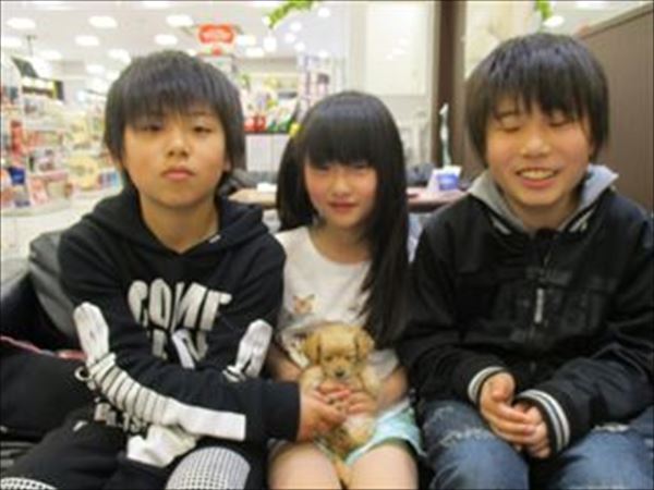 写真