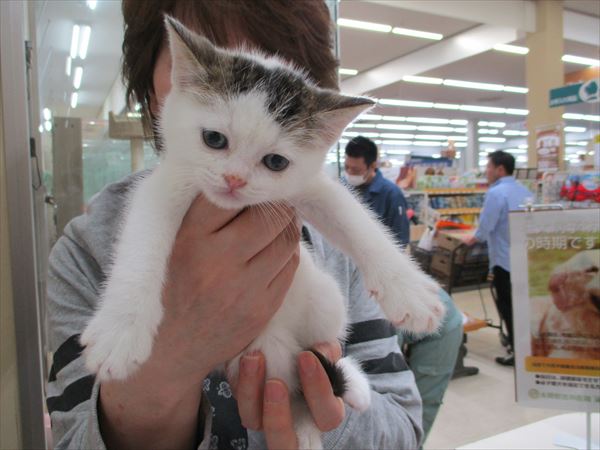 写真