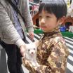 写真