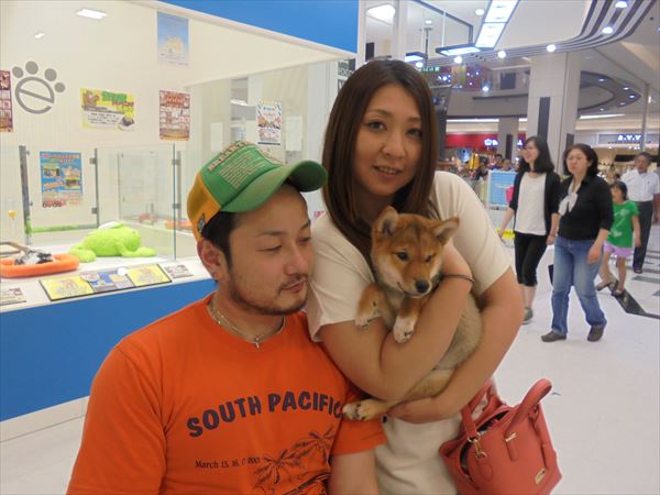 写真