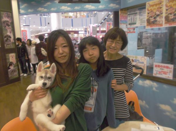写真