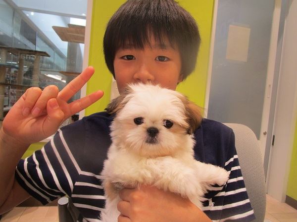 写真