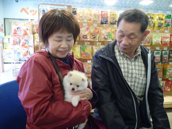 写真
