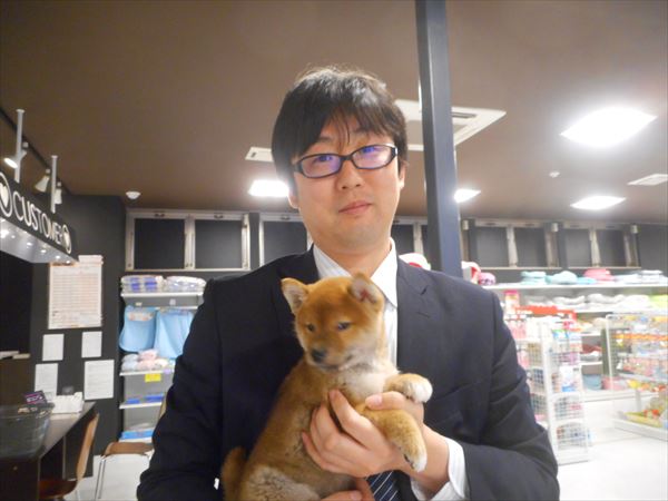 写真