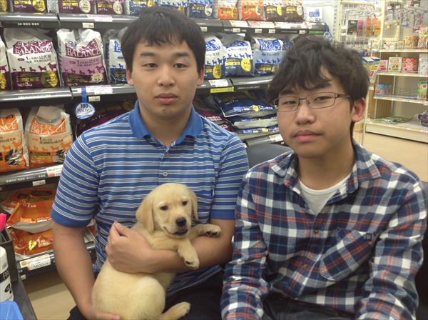 写真