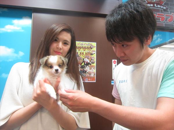 写真
