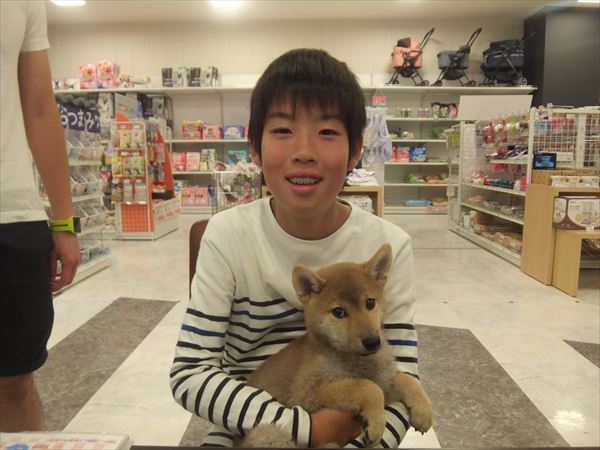 写真