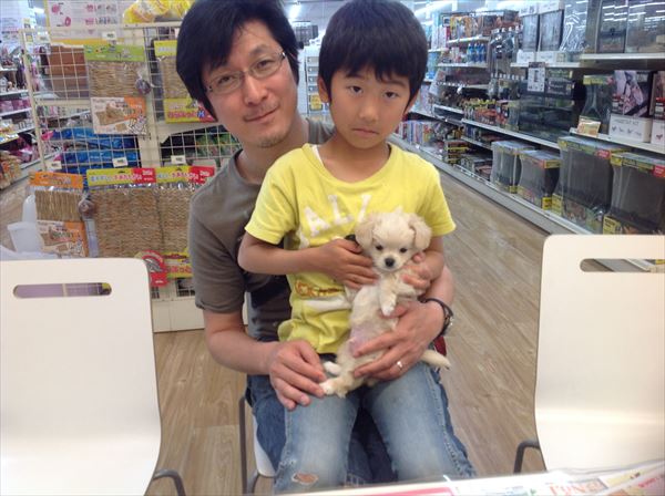 写真
