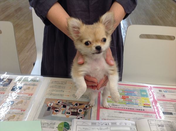 写真