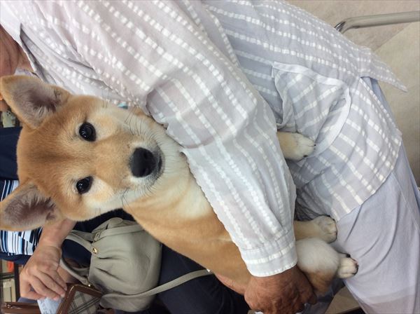 写真