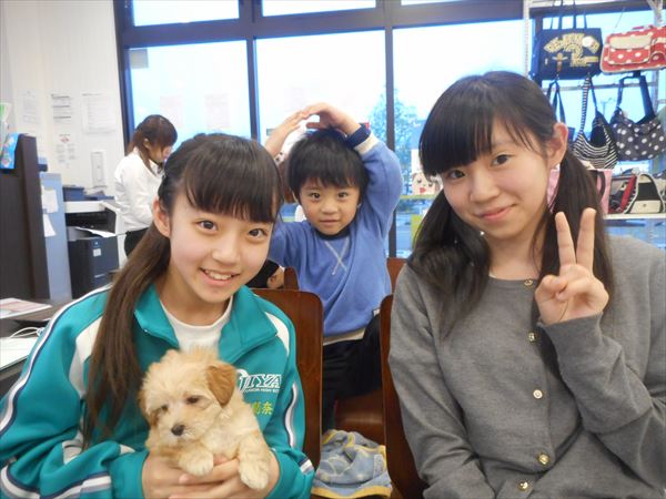写真