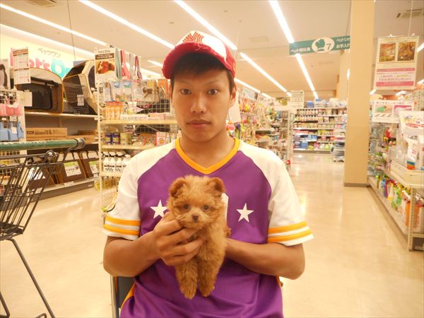 写真