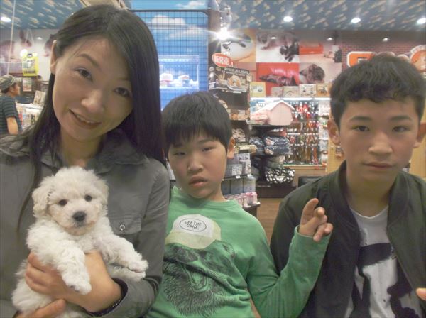 写真