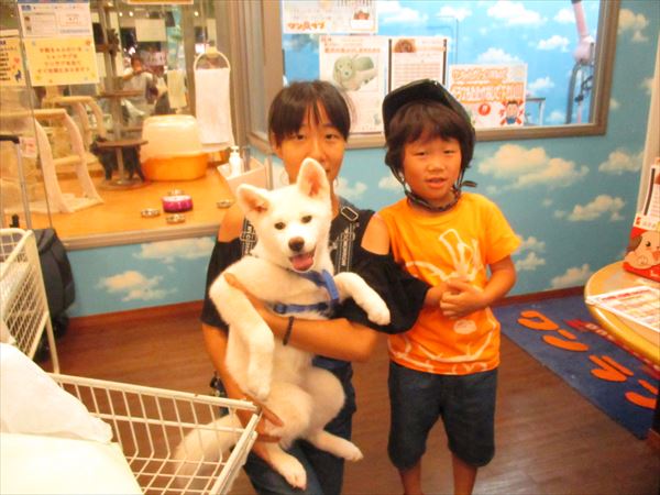 写真