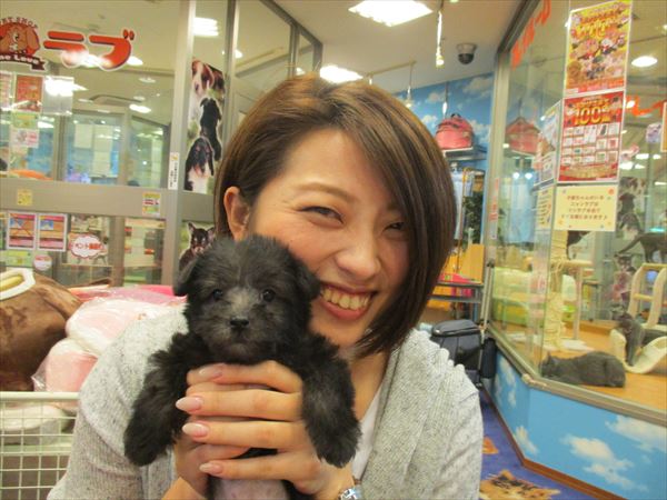 写真