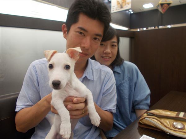 写真