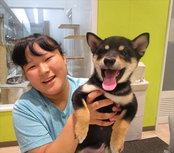写真