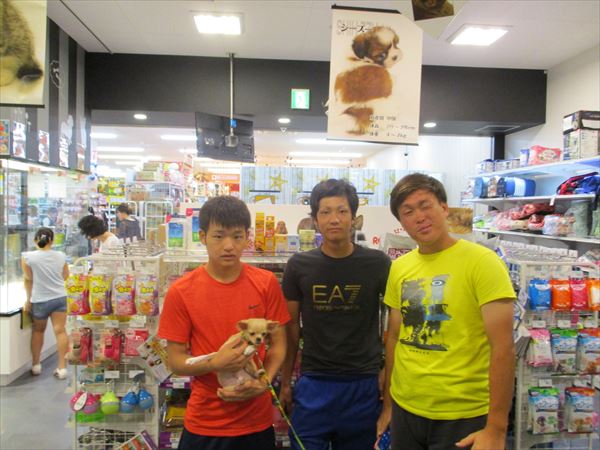 写真