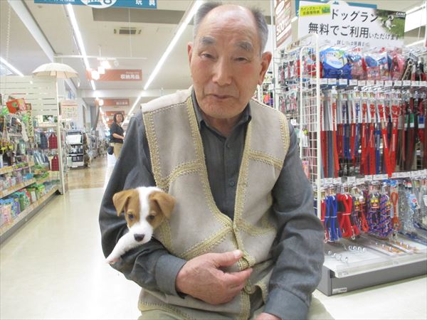 写真