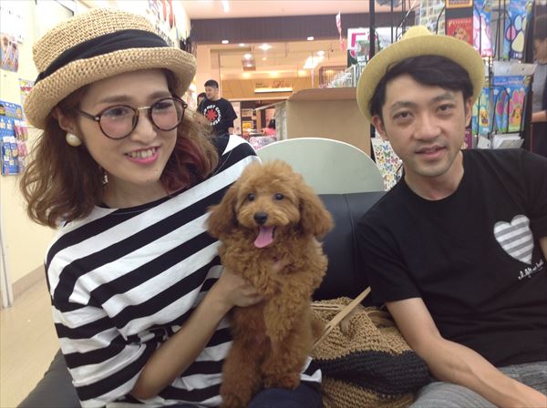 写真