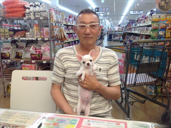 写真