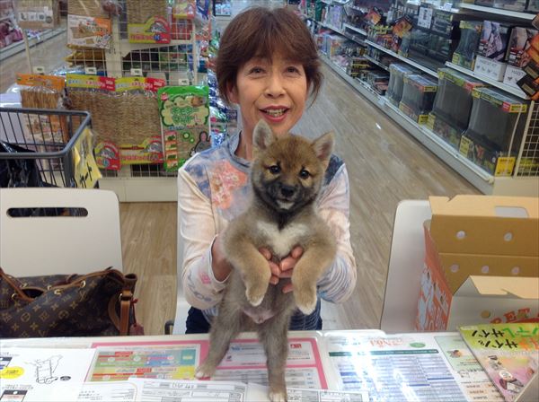 写真
