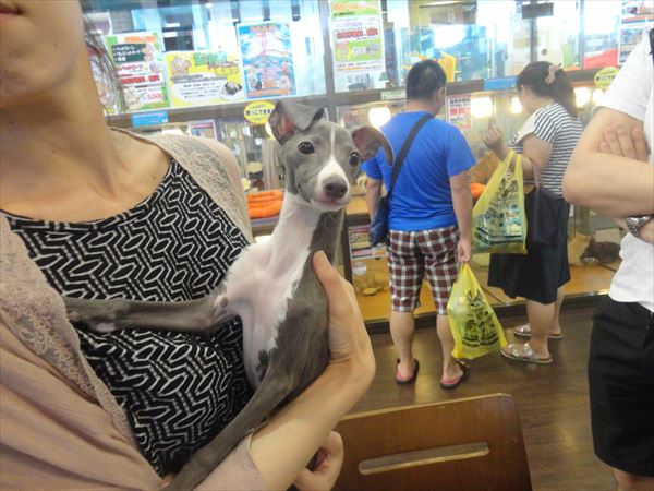 写真