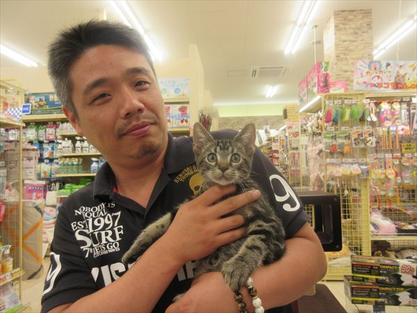 写真