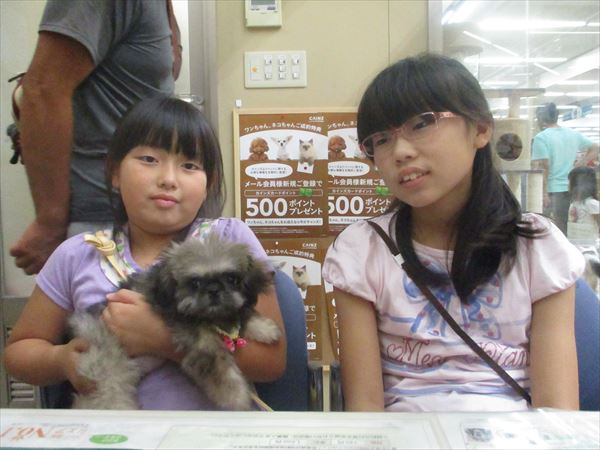 写真