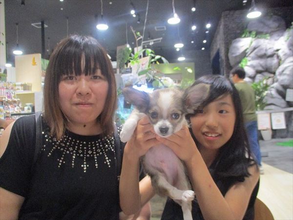 写真