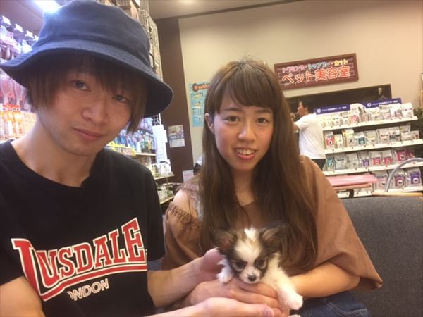 写真