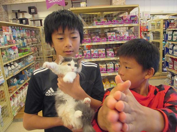 写真