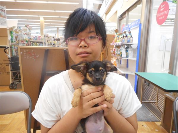 写真