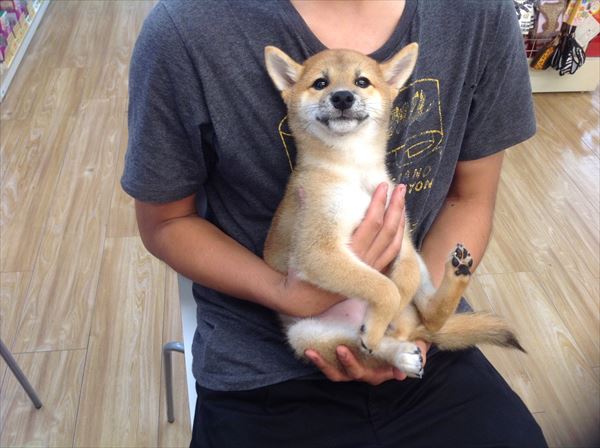 写真