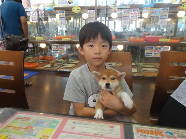 写真