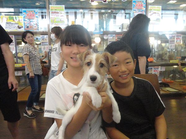 写真