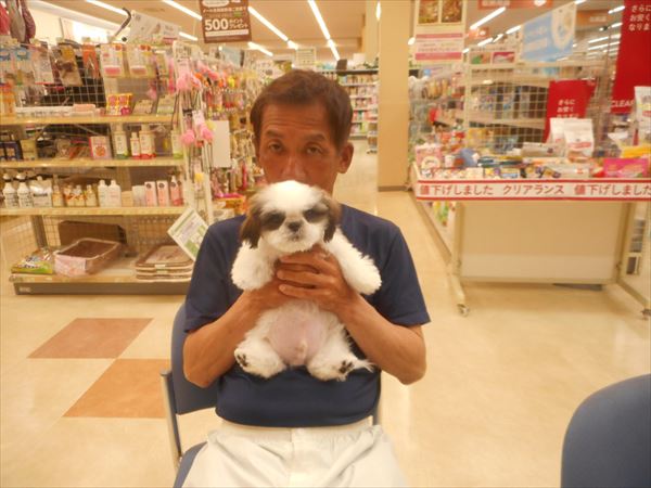 写真