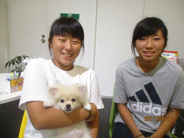 写真