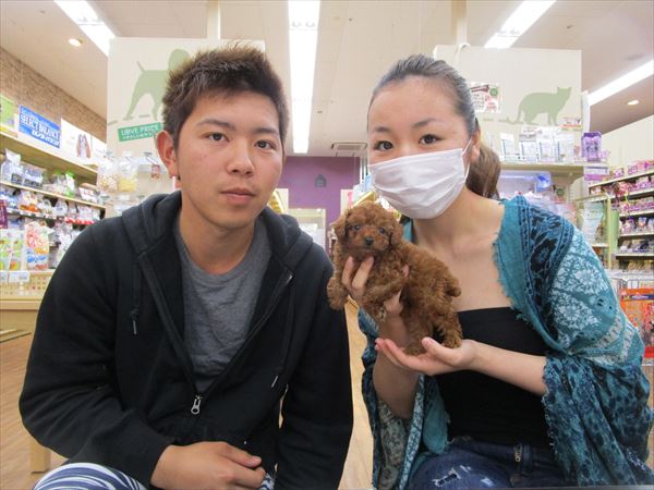 写真