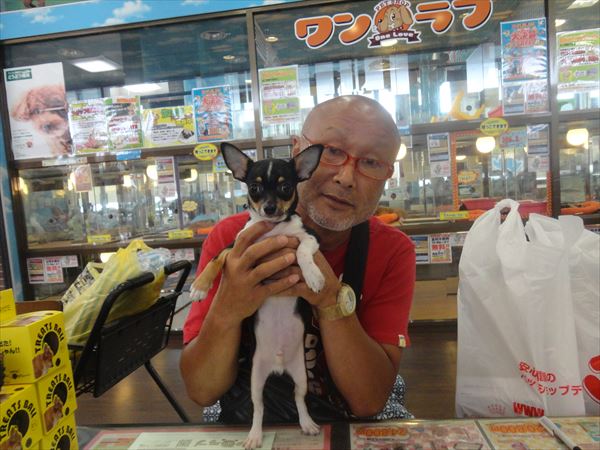 写真