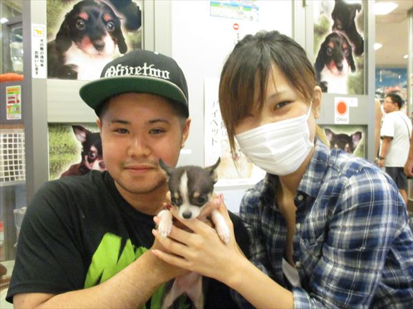 写真