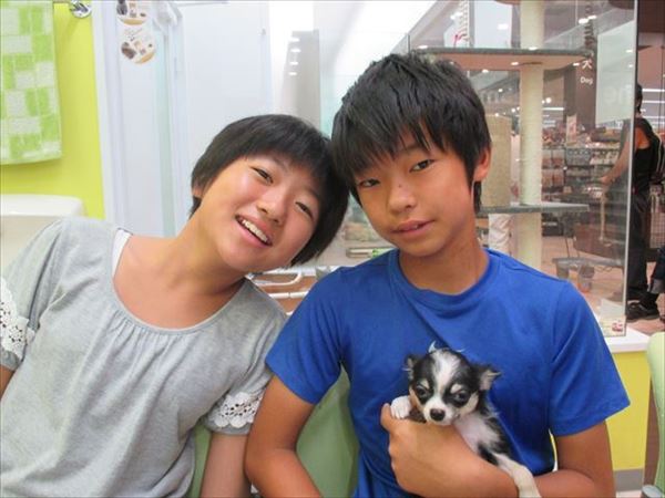 写真