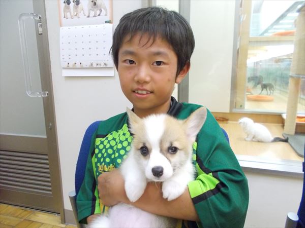 写真