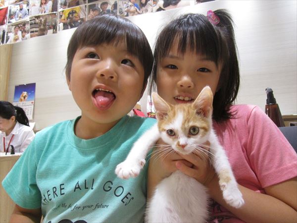 写真