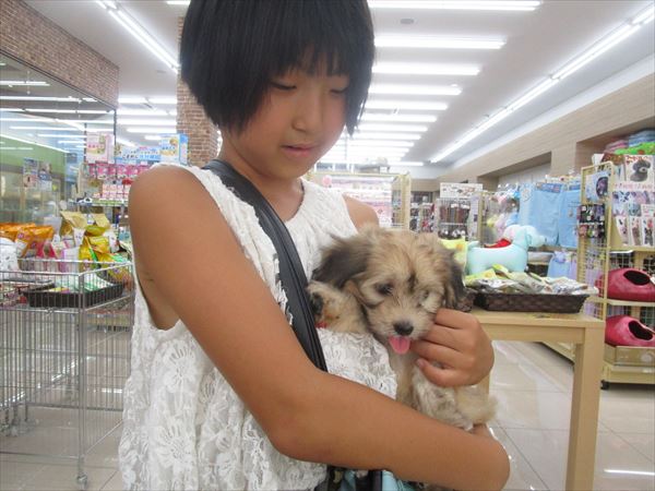 写真